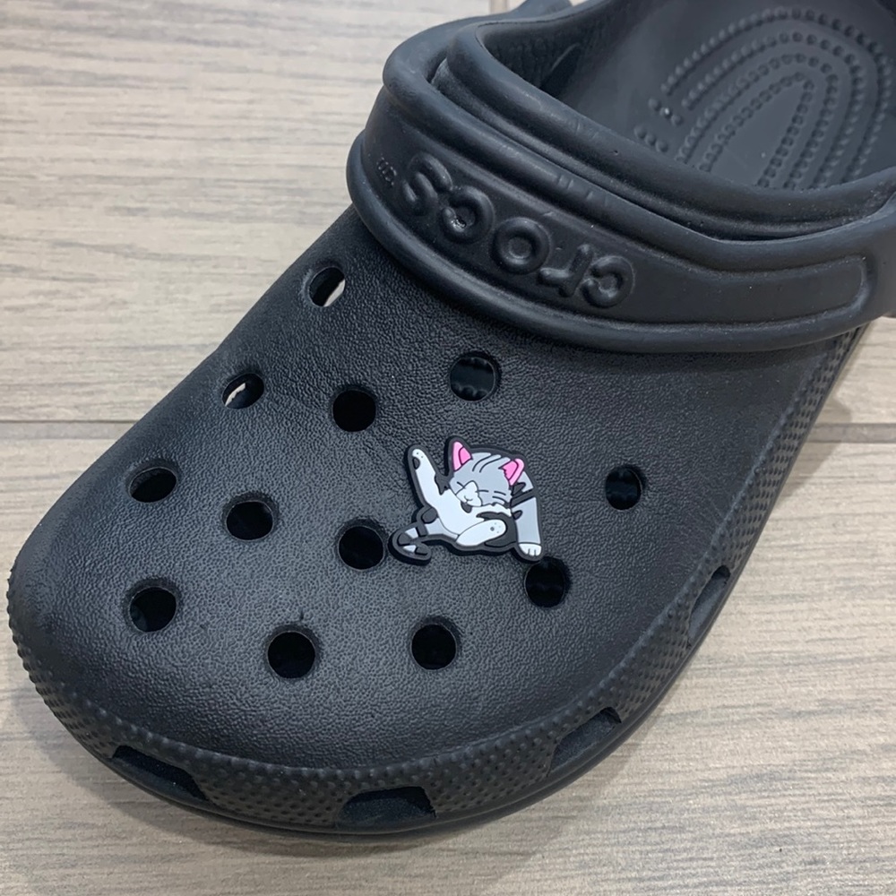 NWOT cat Lover Charms Jibbitz  shoe licking